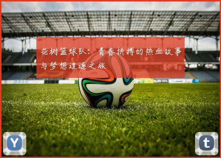 花树篮球队：青春拼搏的热血故事与梦想追逐之旅