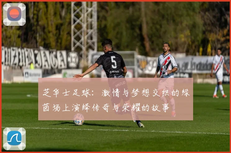 芝华士足球：激情与梦想交织的绿茵场上演绎传奇与荣耀的故事