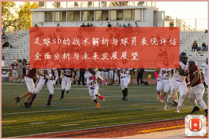 足球sb的战术解析与球员表现评估全面分析与未来发展展望