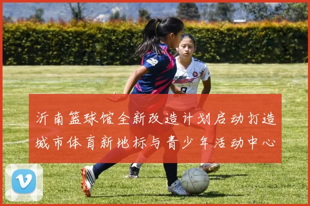 沂南篮球馆全新改造计划启动打造城市体育新地标与青少年活动中心