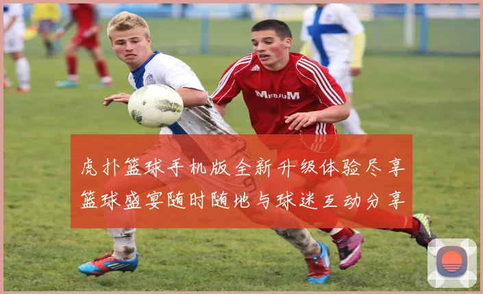 虎扑篮球手机版全新升级体验尽享篮球盛宴随时随地与球迷互动分享精彩瞬间